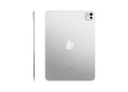 Silver / 256GB / Wi-Fi only