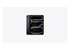 Space Black / 256GB / Wi-Fi only