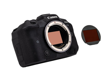 Canon EOS R8 (Body Only)