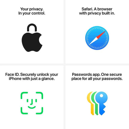 Apple iPhone 16 Pro Max, infographic: privacy, Safari, Face ID, Passwords app features