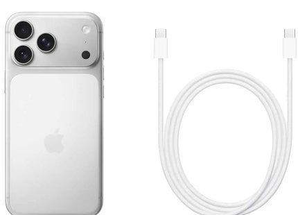 Apple iPhone 17 Pro Max, silver, box contents card showing phone and USB-C cable